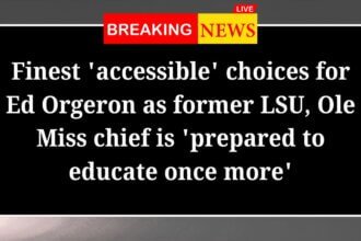 Finest accessible choices for Ed Orgeron as former LSU Ole Miss chief is prepared to educate once more