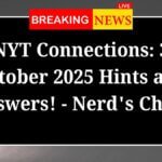 NYT Connections 3 October 2025 Hints and Answers Nerds Chalk