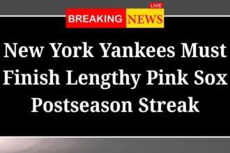 New York Yankees Must Finish Lengthy Pink Sox Postseason Streak