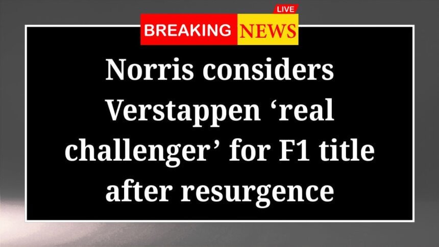 Norris considers Verstappen real challenger for F1 title after resurgence