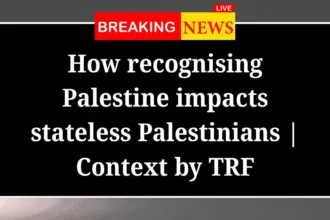 Palestine impacts
