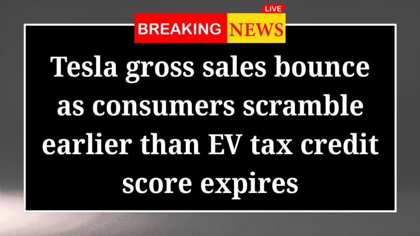 Tesla gross sales bounce as consumers scramble earlier than EV tax credit score expires